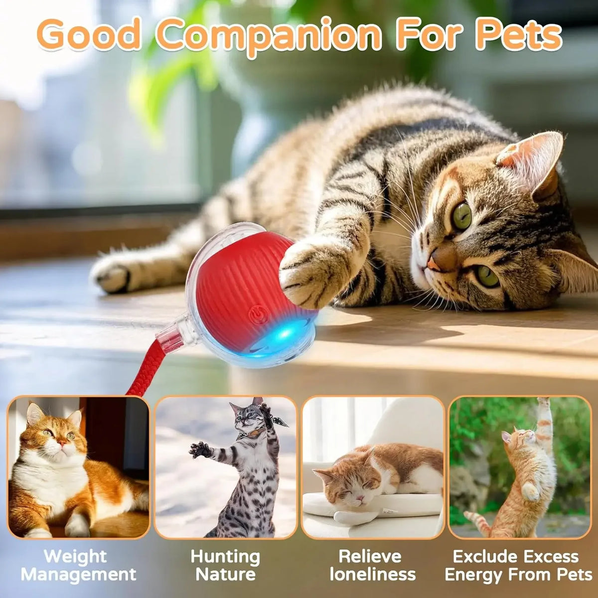 PetNest JollyBall Interactive Cat Toy