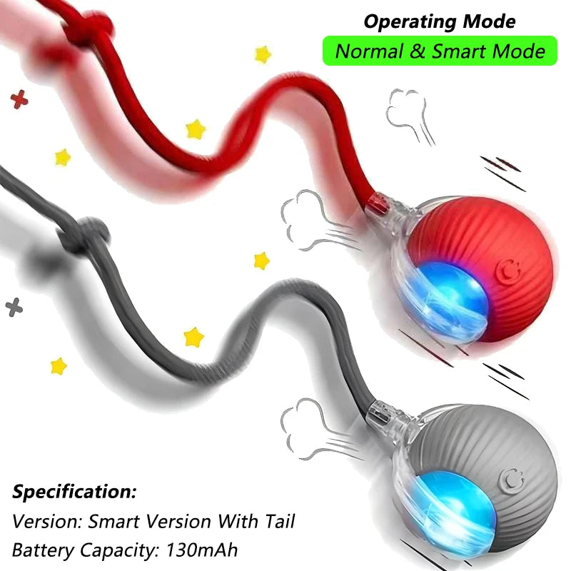 PetNest JollyBall Interactive Cat Toy