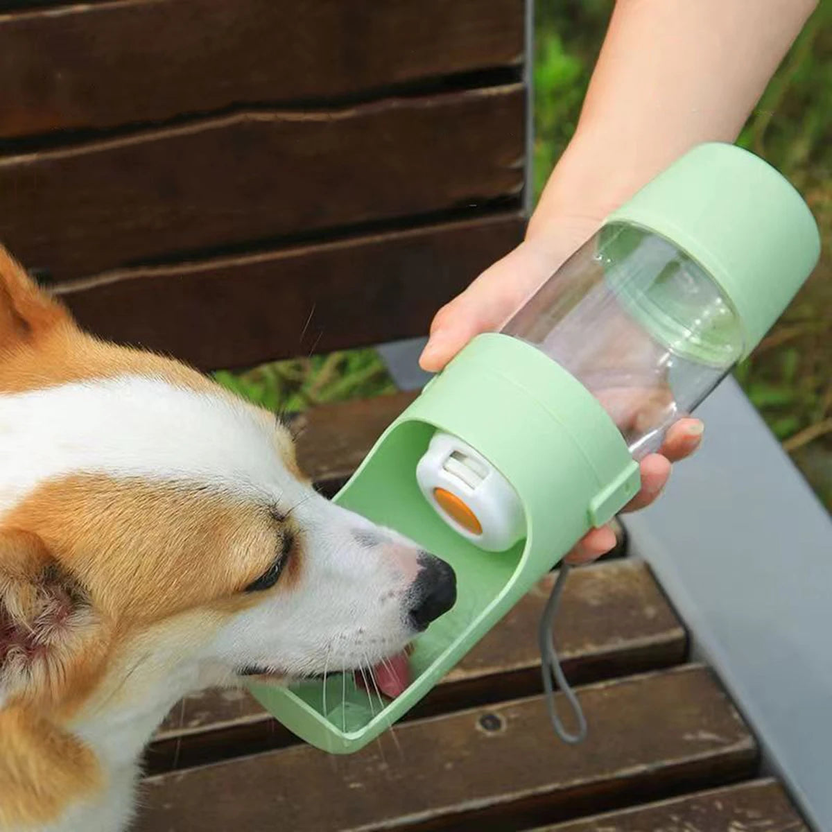 PicnicPaws 2-in-1 Travel Bottle & Food Container