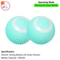 PetNest JollyBall Interactive Cat Toy