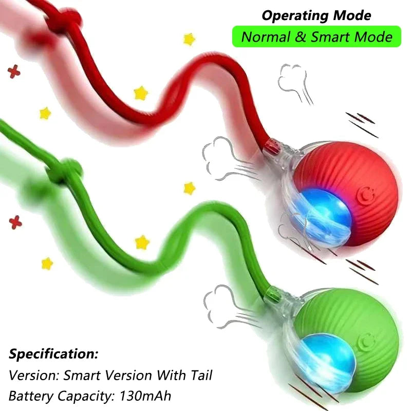 PetNest JollyBall Interactive Cat Toy