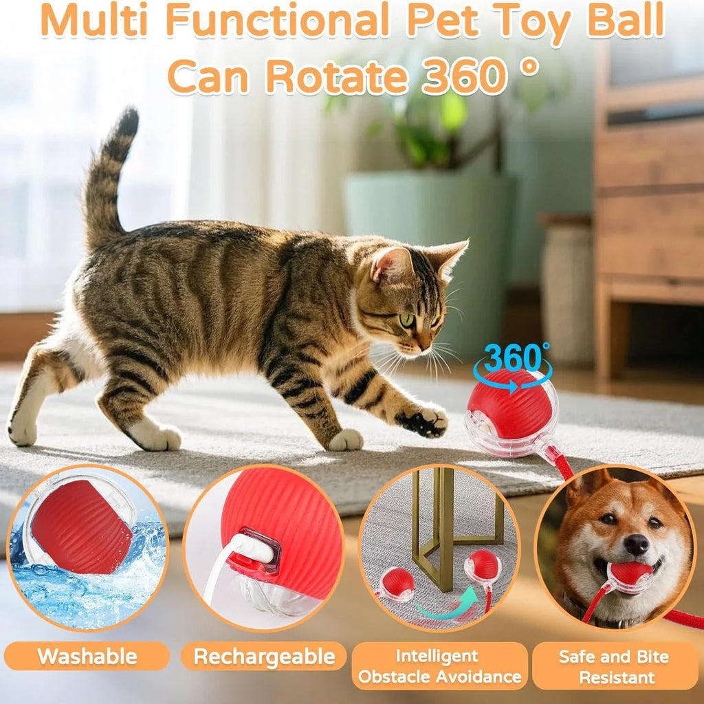 PetNest JollyBall Interactive Cat Toy